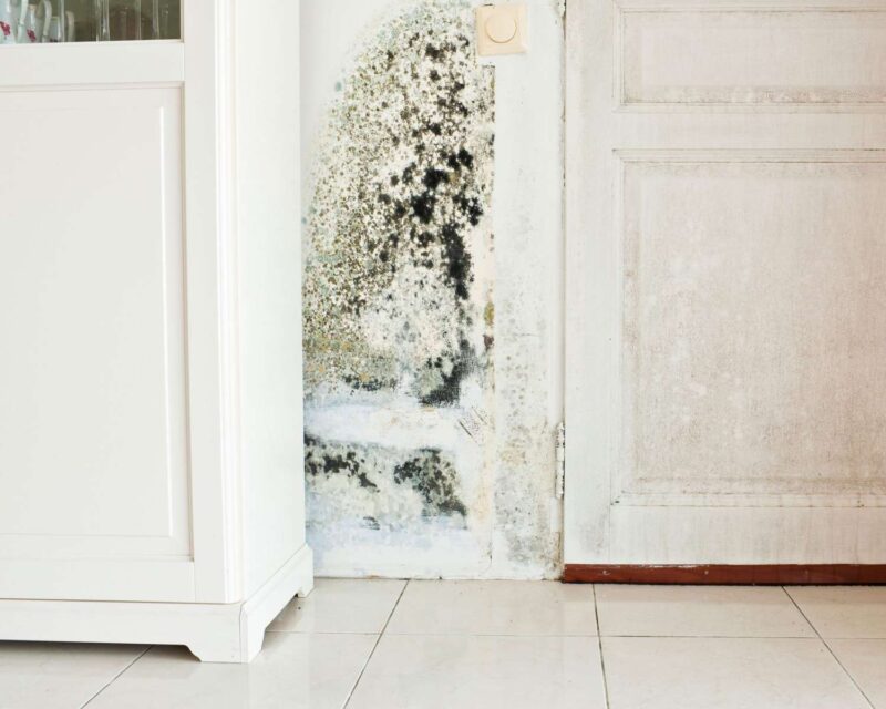 Gallery Detail: Common Causes Of Mold In Homes And How To Fix